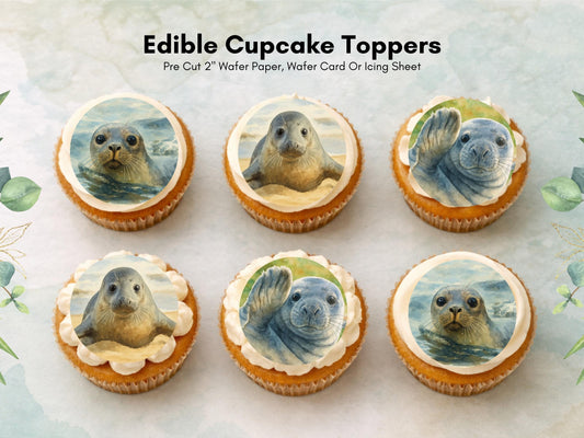 Seal Edible Cupcake Toppers – 2" Wafer Paper, Card or Icing (12 ct)
