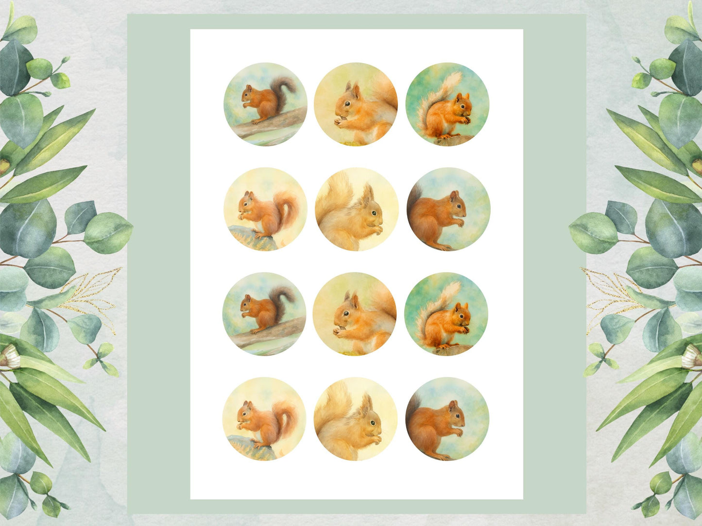 Squirrel Edible Cupcake Toppers 12 x 2" Precut Wafer Paper, Card or Icing Sheet