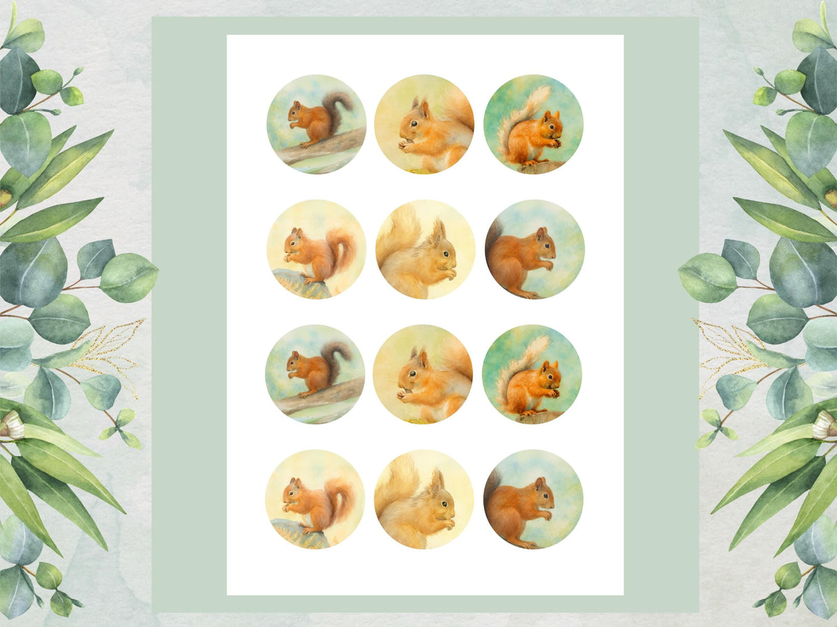 Squirrel Edible Cupcake Toppers 12 x 2" Precut Wafer Paper, Card or Icing Sheet