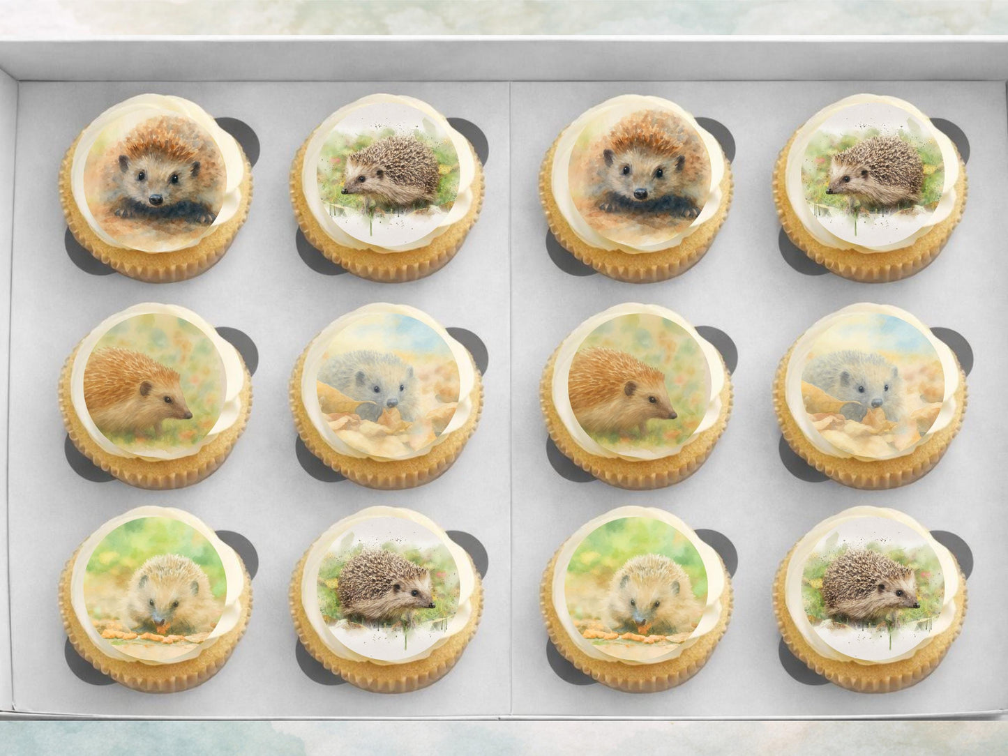 Hedgehog Edible Cupcake Toppers 12 x 2" Forest Animal Cake Decoration