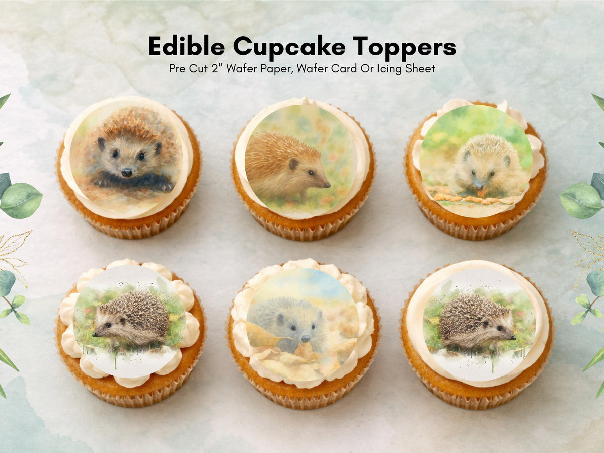 Hedgehog Edible Cupcake Toppers 12 x 2" Forest Animal Cake Decoration