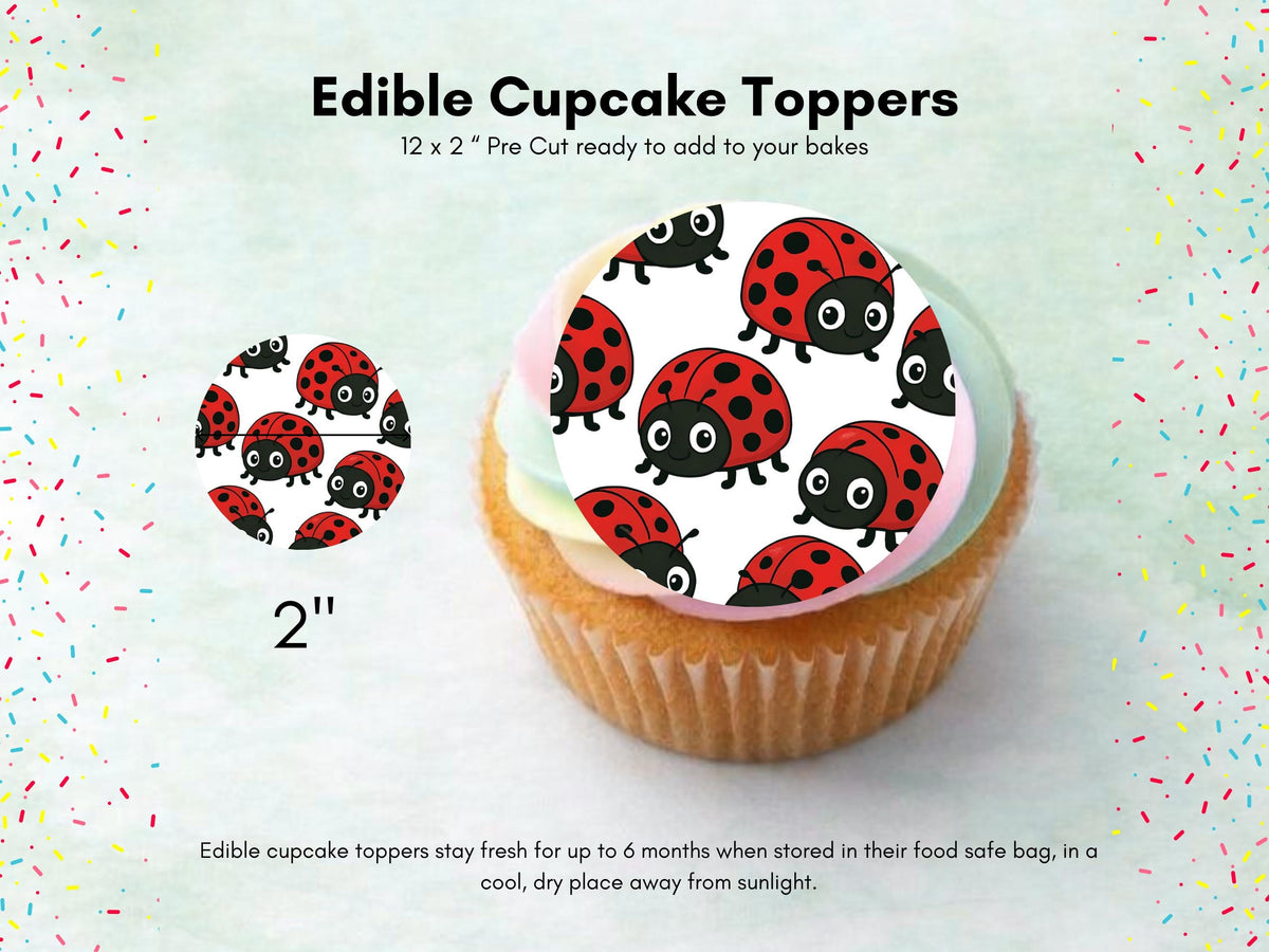 Ladybug Cupcake Toppers – Lady Bird Cake Decorations 12 x 2"