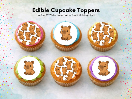 Cute Capybara Edible Cupcake Toppers 12 x 2" Capybara Cake Decorations