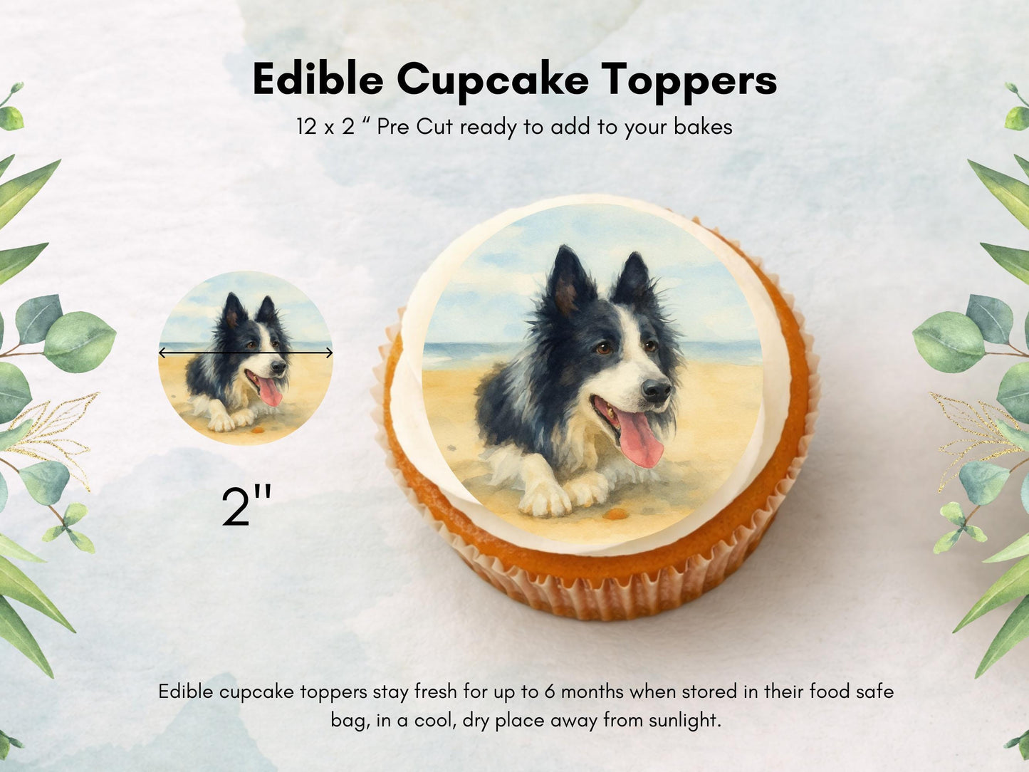 Border Collie Edible Cupcake Toppers 12 x 2" Dog Cake Toppers