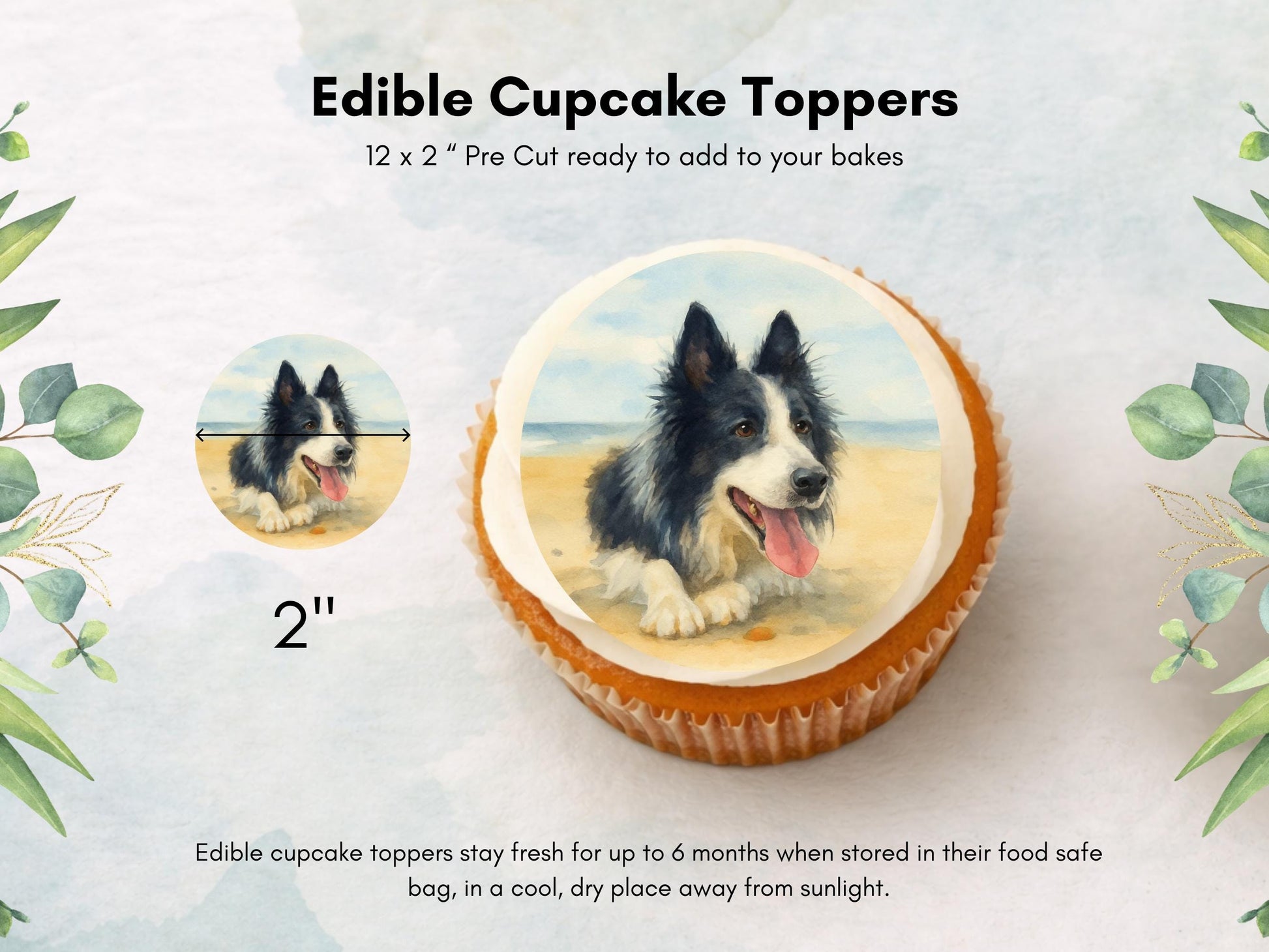 Border Collie Edible Cupcake Toppers 12 x 2" Dog Cake Toppers