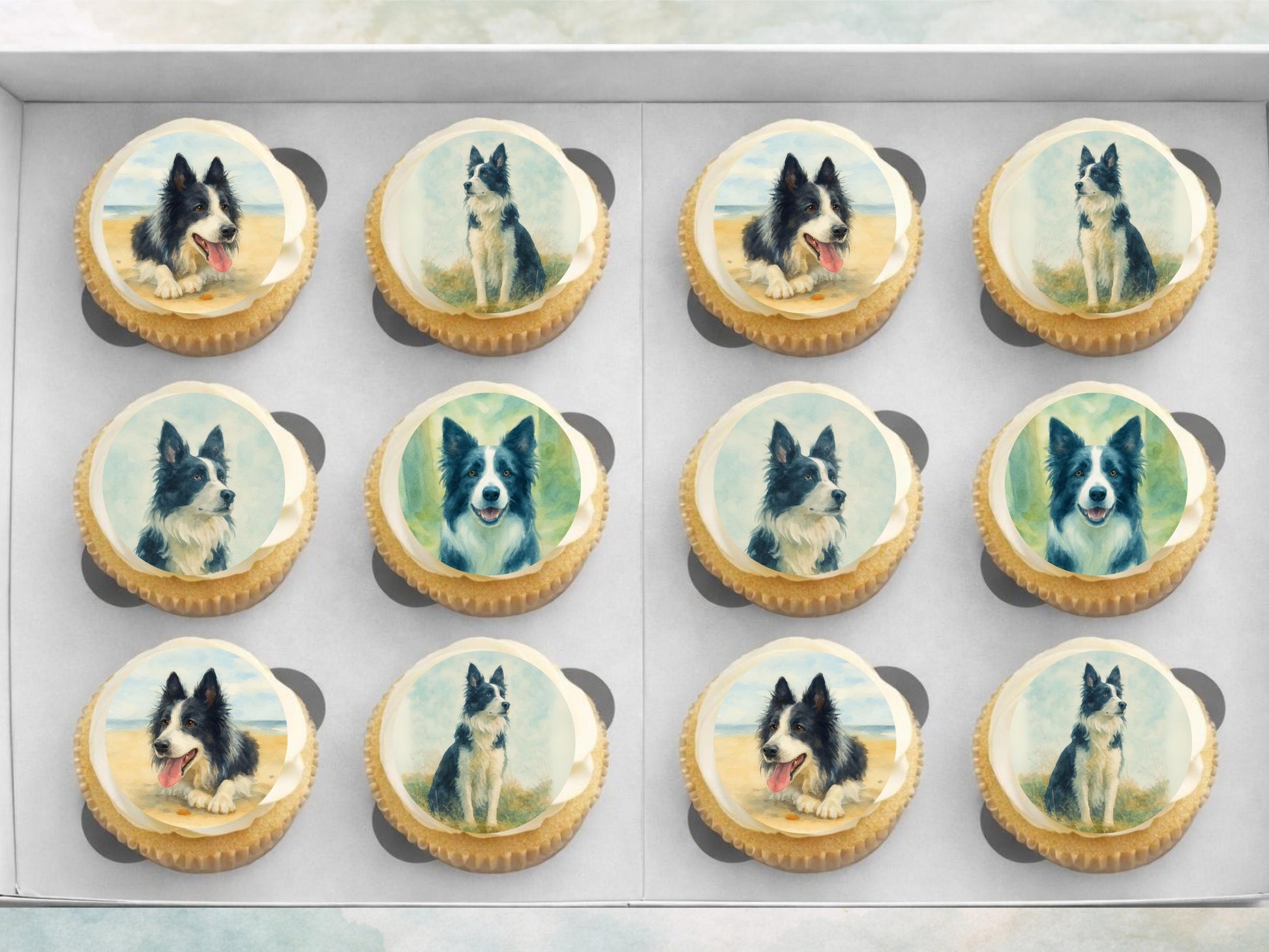 Border Collie Edible Cupcake Toppers 12 x 2" Dog Cake Toppers