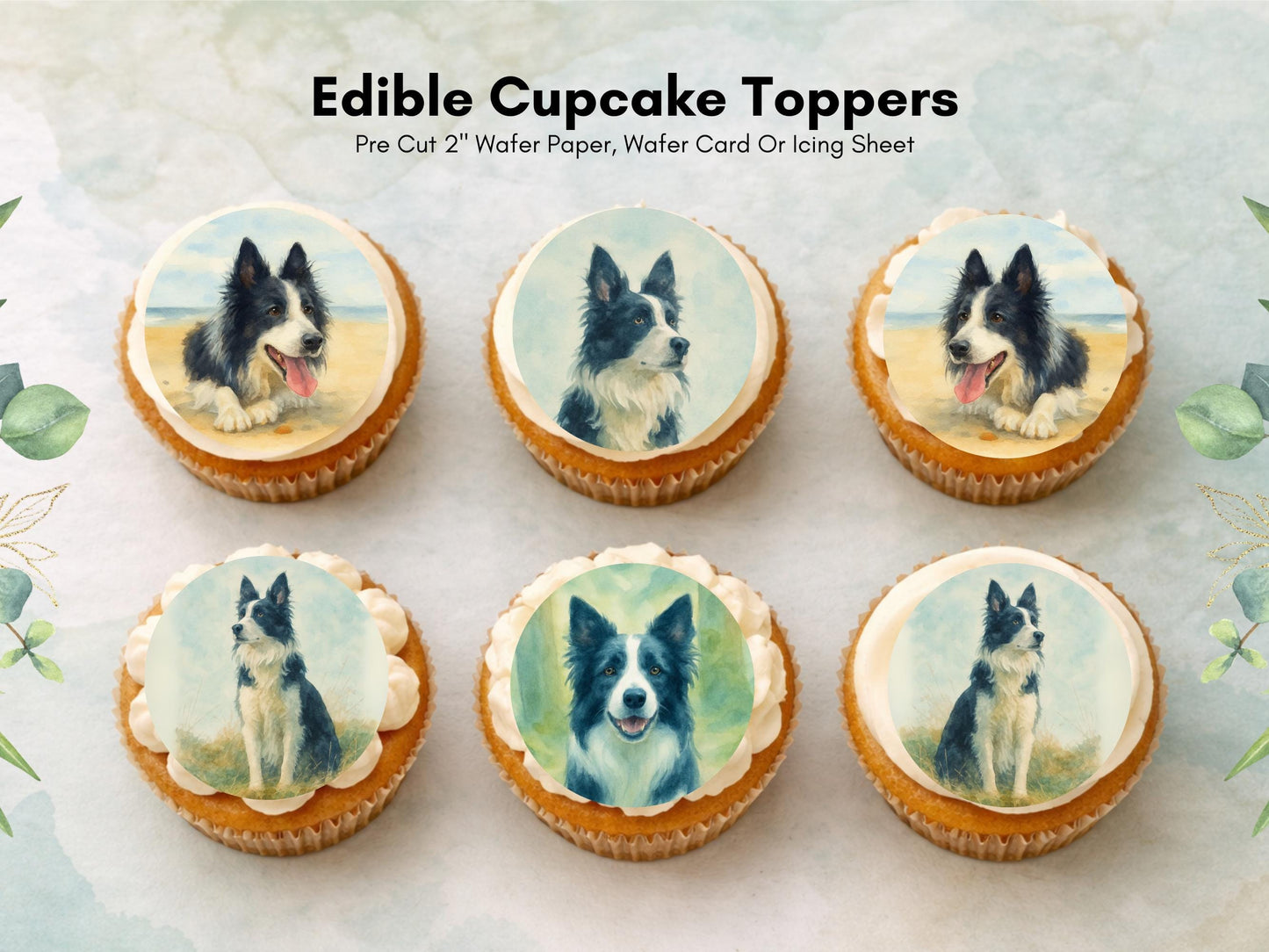Border Collie Edible Cupcake Toppers 12 x 2" Dog Cake Toppers