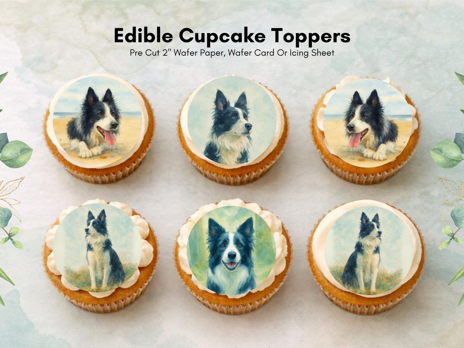 Border Collie Edible Cupcake Toppers 12 x 2" Dog Cake Toppers