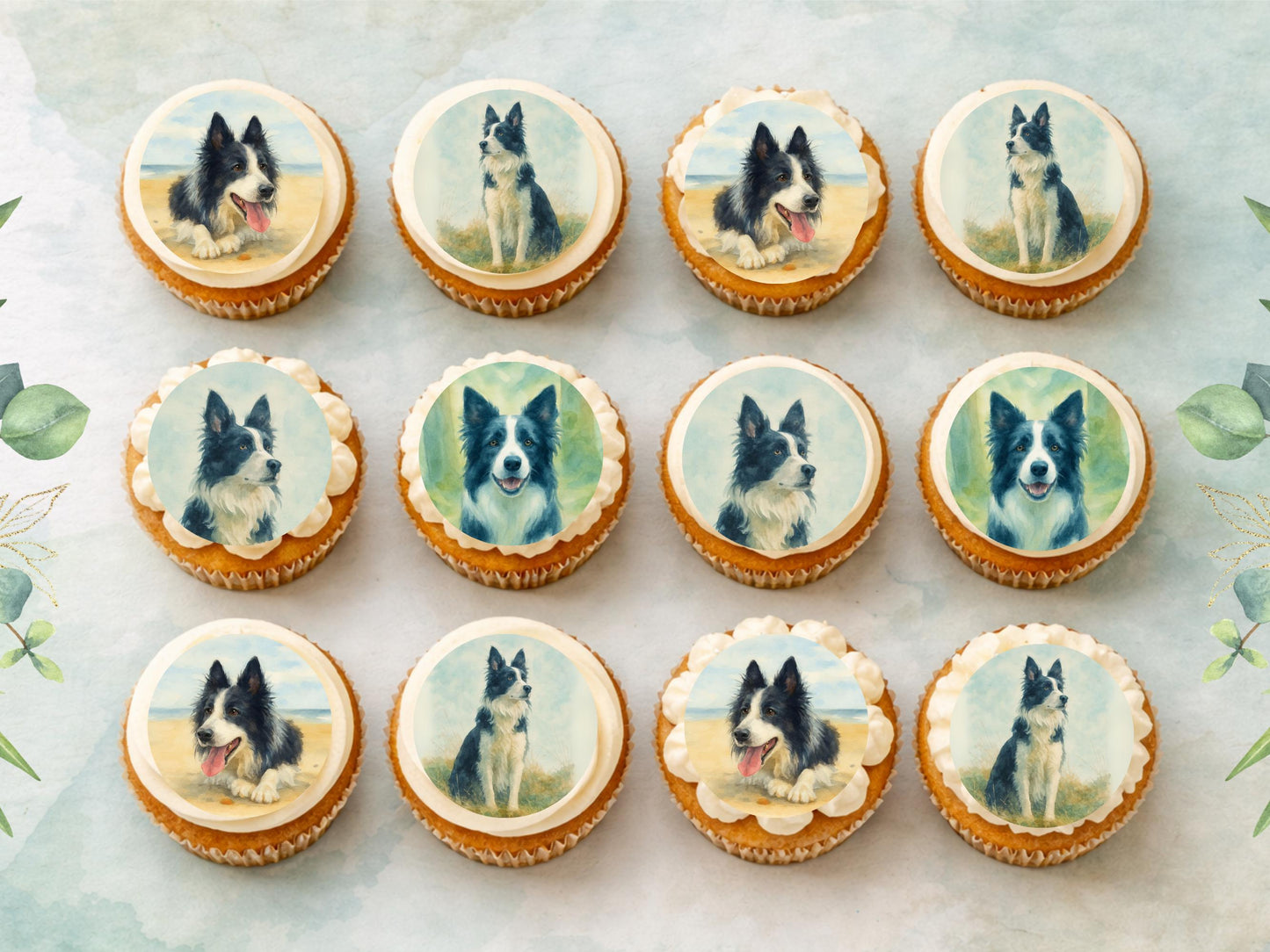 Border Collie Edible Cupcake Toppers 12 x 2" Dog Cake Toppers