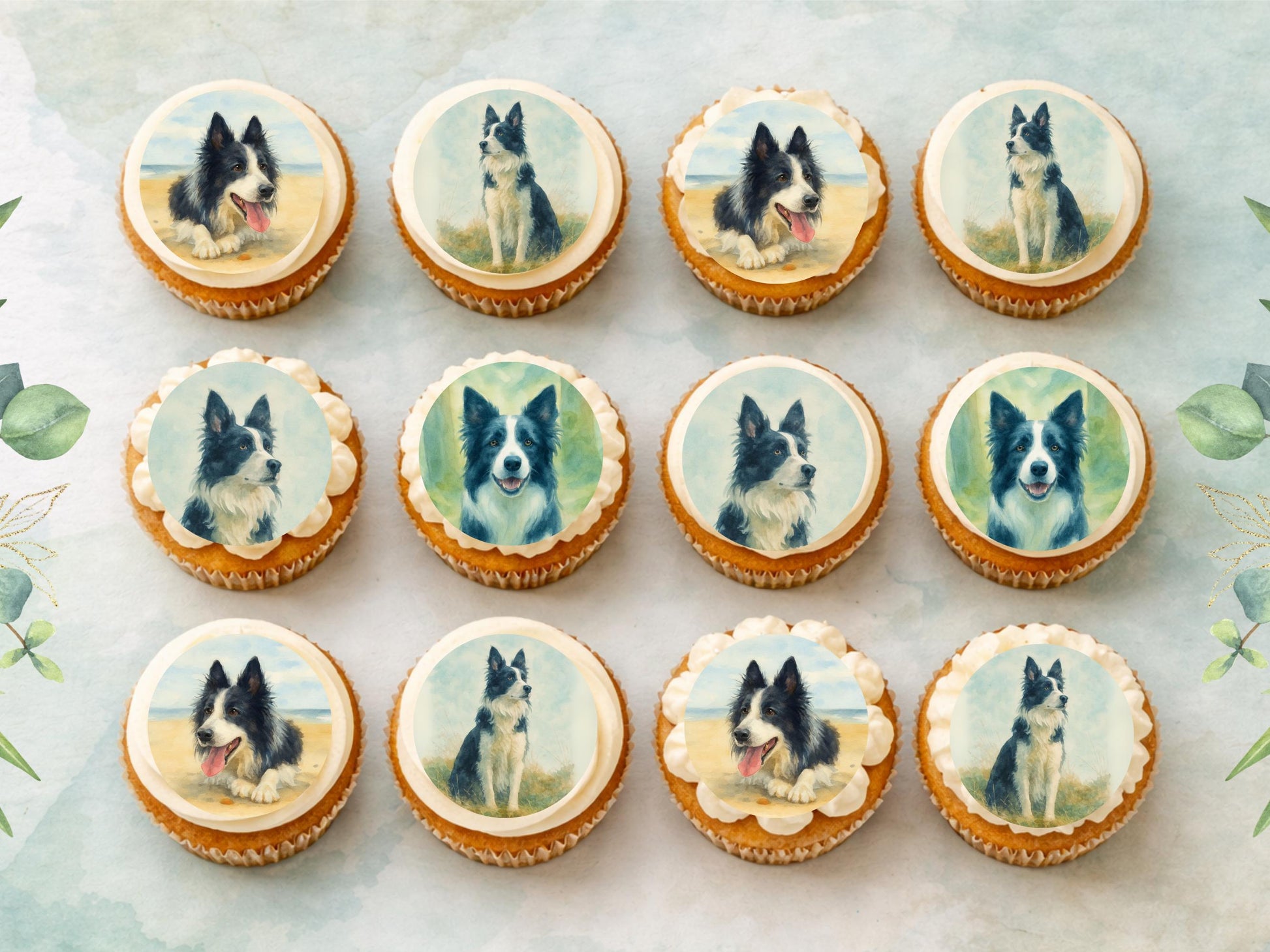 Border Collie Edible Cupcake Toppers 12 x 2" Dog Cake Toppers