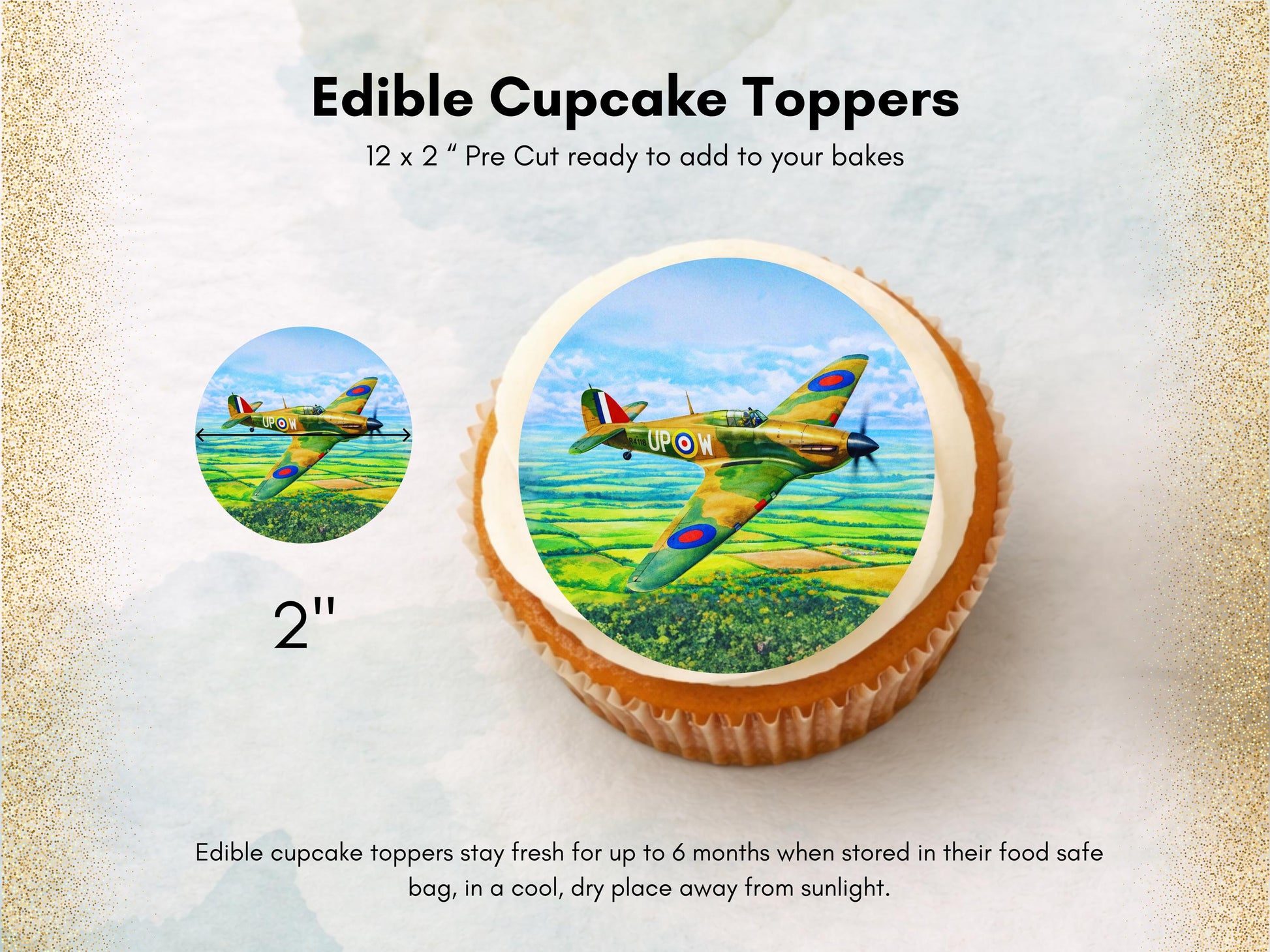Hurricane Airplane Edible Cupcake Toppers – Airshow Cake Decorations