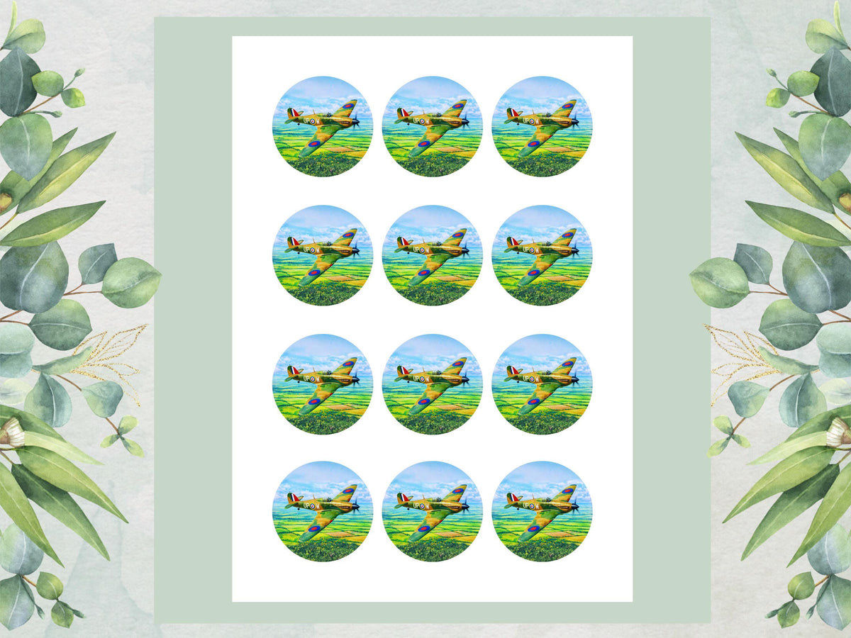 Hurricane Airplane Edible Cupcake Toppers – Airshow Cake Decorations