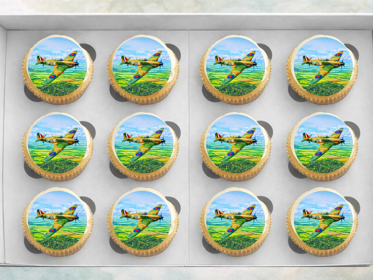 Hurricane Airplane Edible Cupcake Toppers – Airshow Cake Decorations