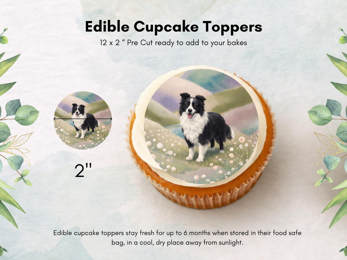 Border Collie Edible Cupcake Toppers 12 x 2" Dog Cake Toppers