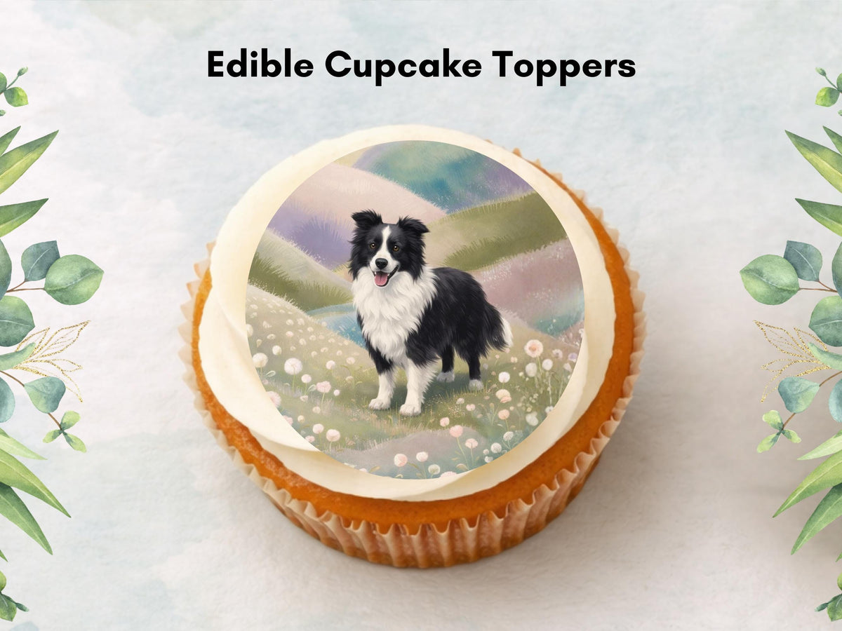 Border Collie Edible Cupcake Toppers 12 x 2" Dog Cake Toppers