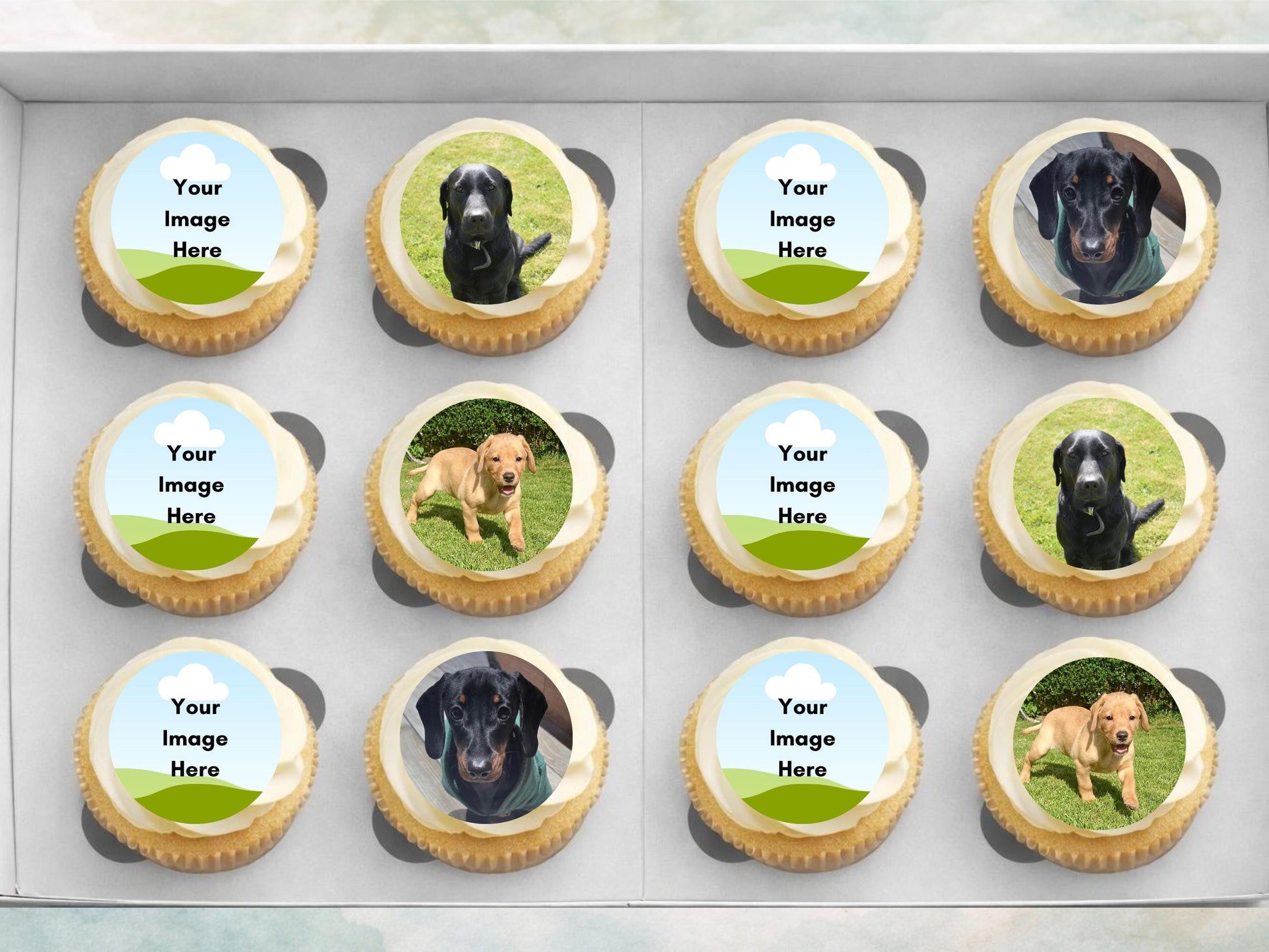 Personalized Photo Edible Cupcake Toppers, 2 inch, Wafer Paper, Card or Icing Sheet