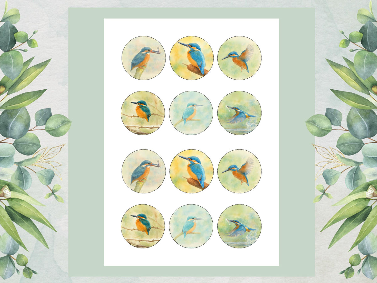 Kingfisher Edible Cupcake Toppers 12 x 2"– Pre cut Wafer Paper, Card or Icing Sheet, King Fisher Bird Birthday Cake Topper