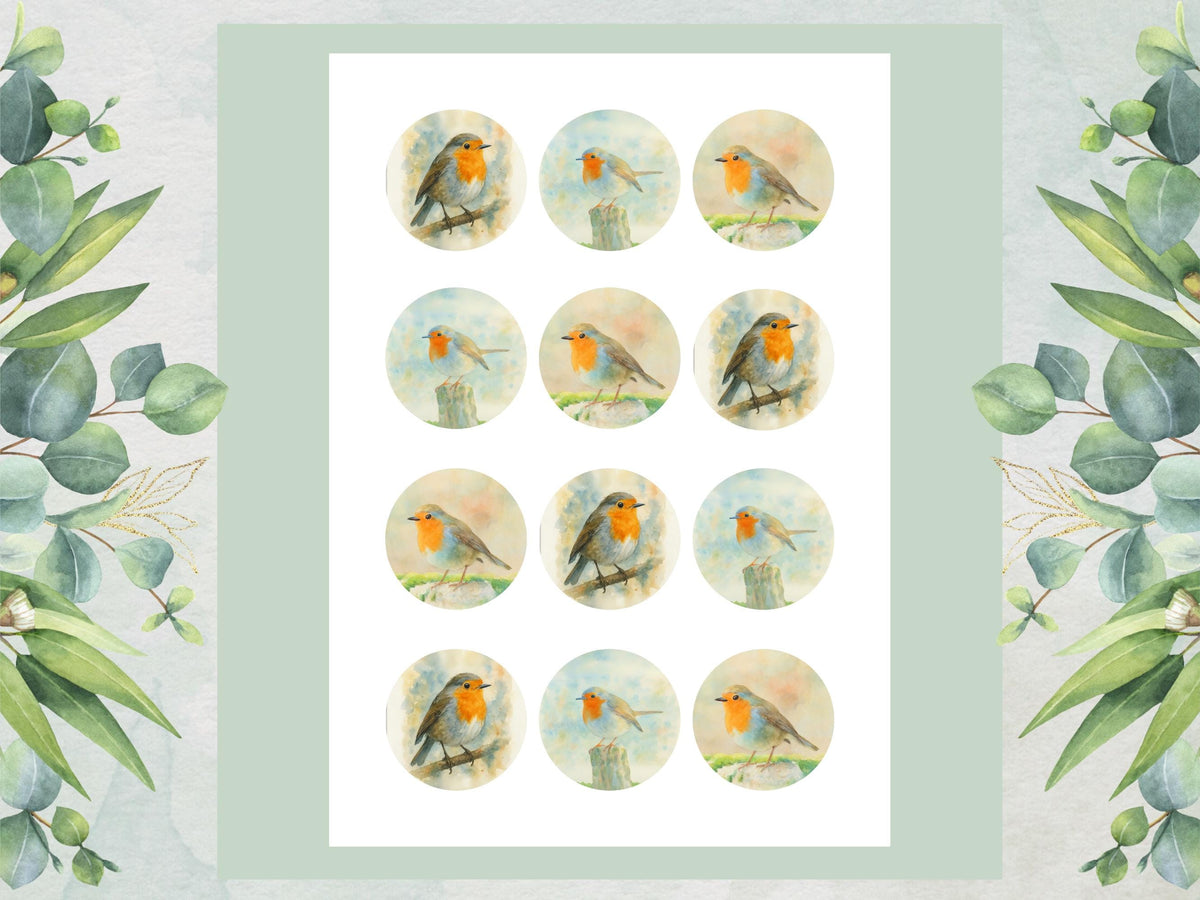 Robin Edible Cupcake Toppers – Robin Birthday Cake Topper, (Pre-Cut)