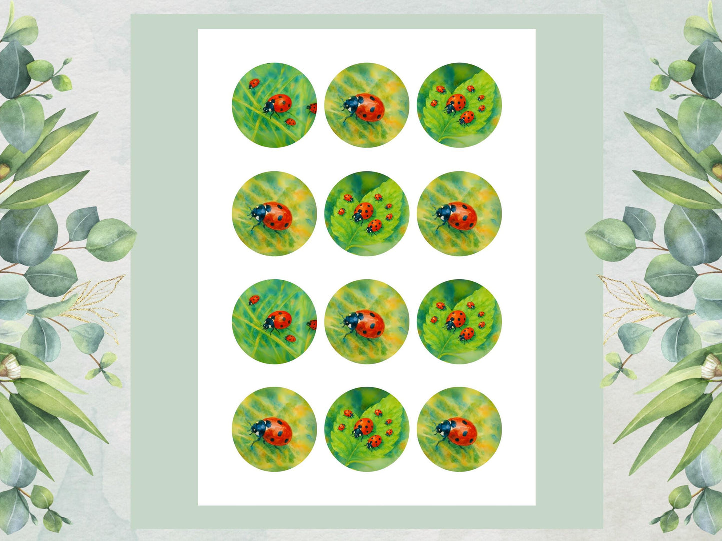 Ladybird Edible Cupcake Toppers – 12 x 2" Wafer Paper