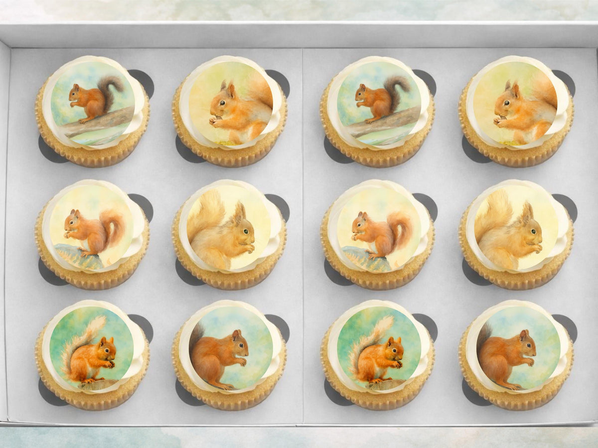 Squirrel Edible Cupcake Toppers 12 x 2" Precut Wafer Paper, Card or Icing Sheet