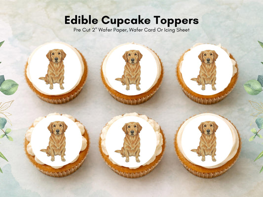 Golden Retriever Edible Cupcake Toppers 12 x 2" Dog Cake Toppers