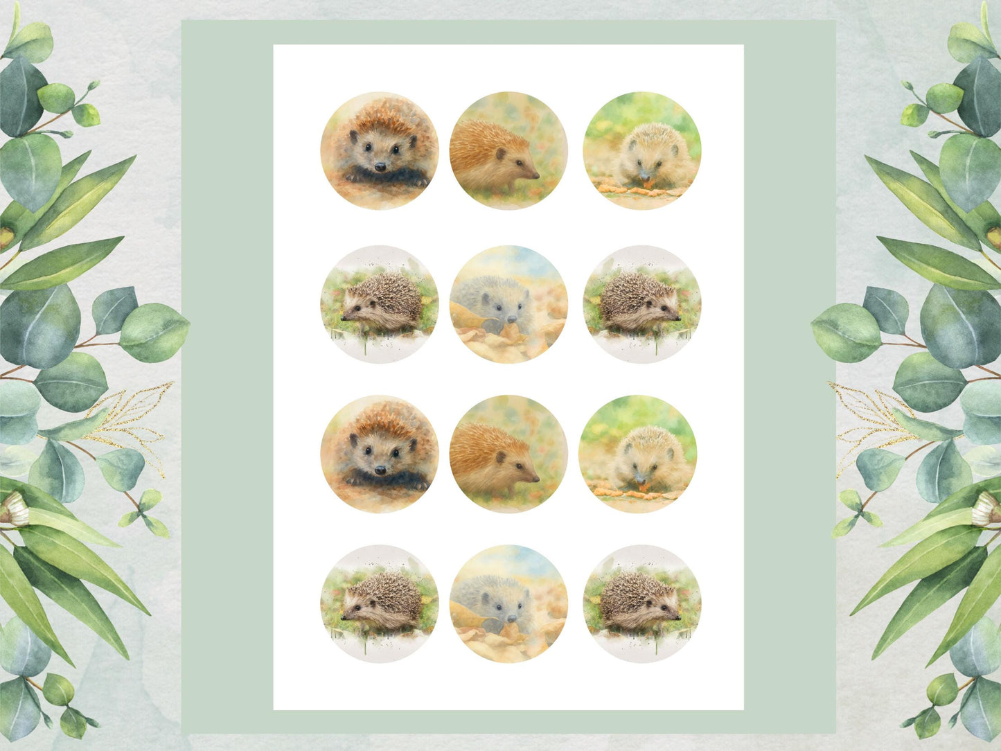 Hedgehog Edible Cupcake Toppers 12 x 2" Forest Animal Cake Decoration