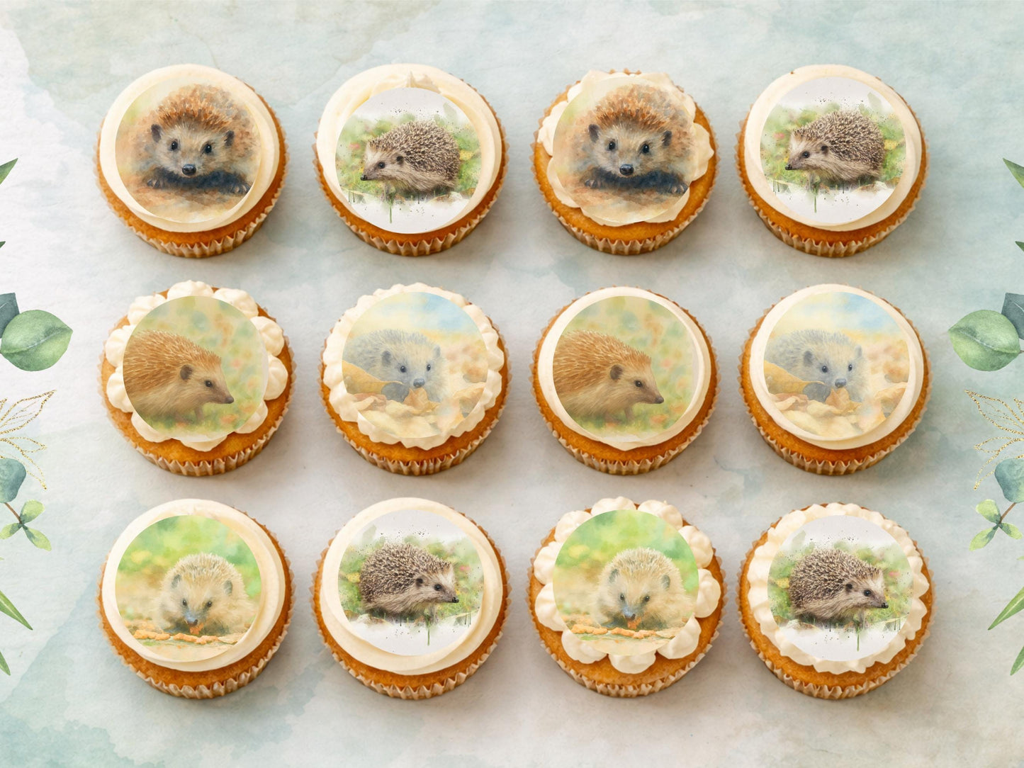 Hedgehog Edible Cupcake Toppers 12 x 2" Forest Animal Cake Decoration