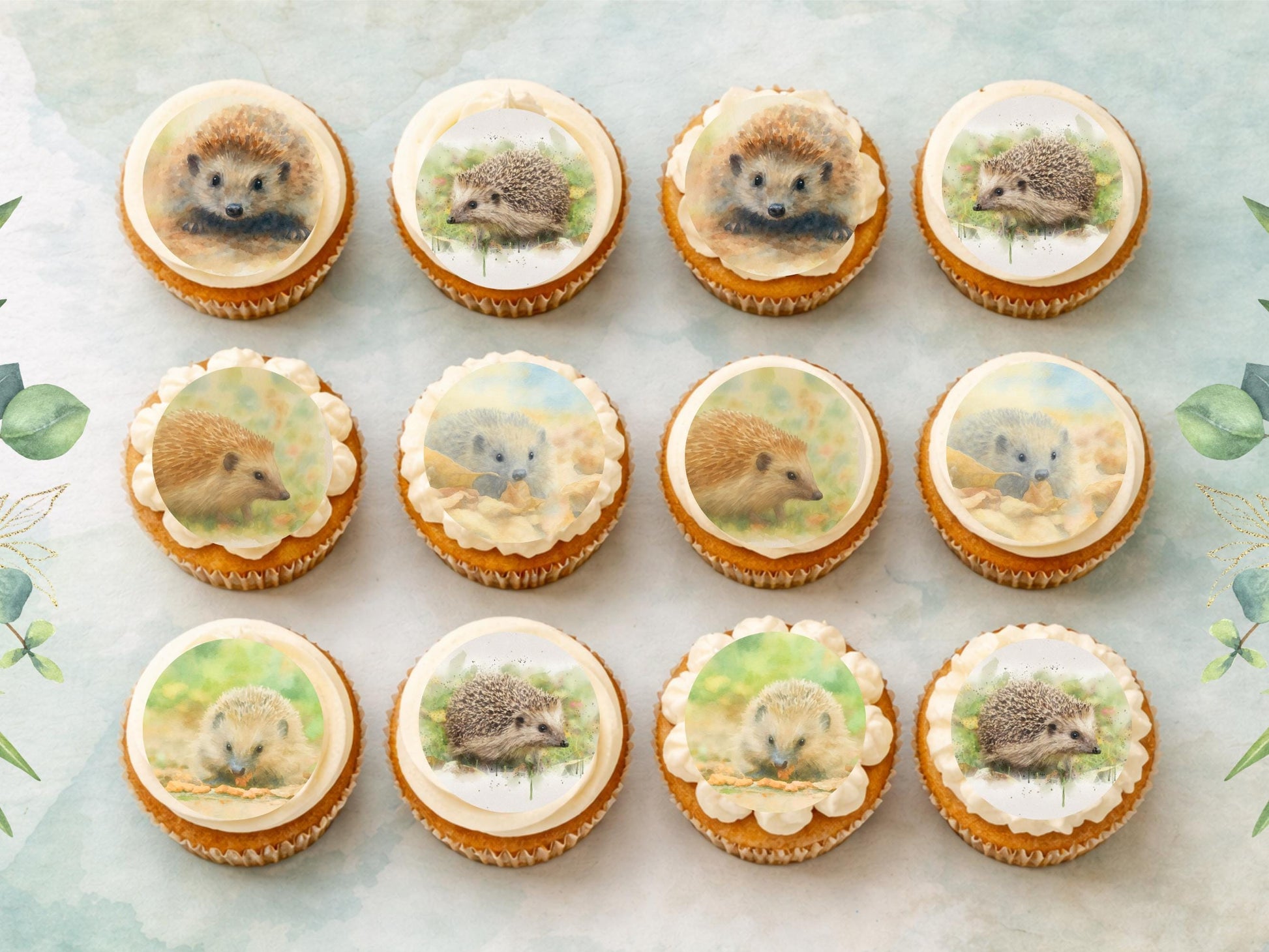Hedgehog Edible Cupcake Toppers 12 x 2" Forest Animal Cake Decoration