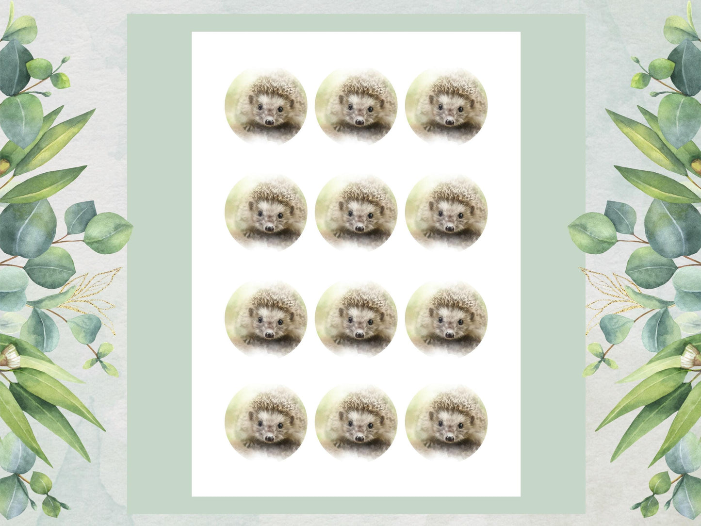 Hedgehog Edible Cupcake Toppers 12 x 2" Forest Animal Cake Decoration