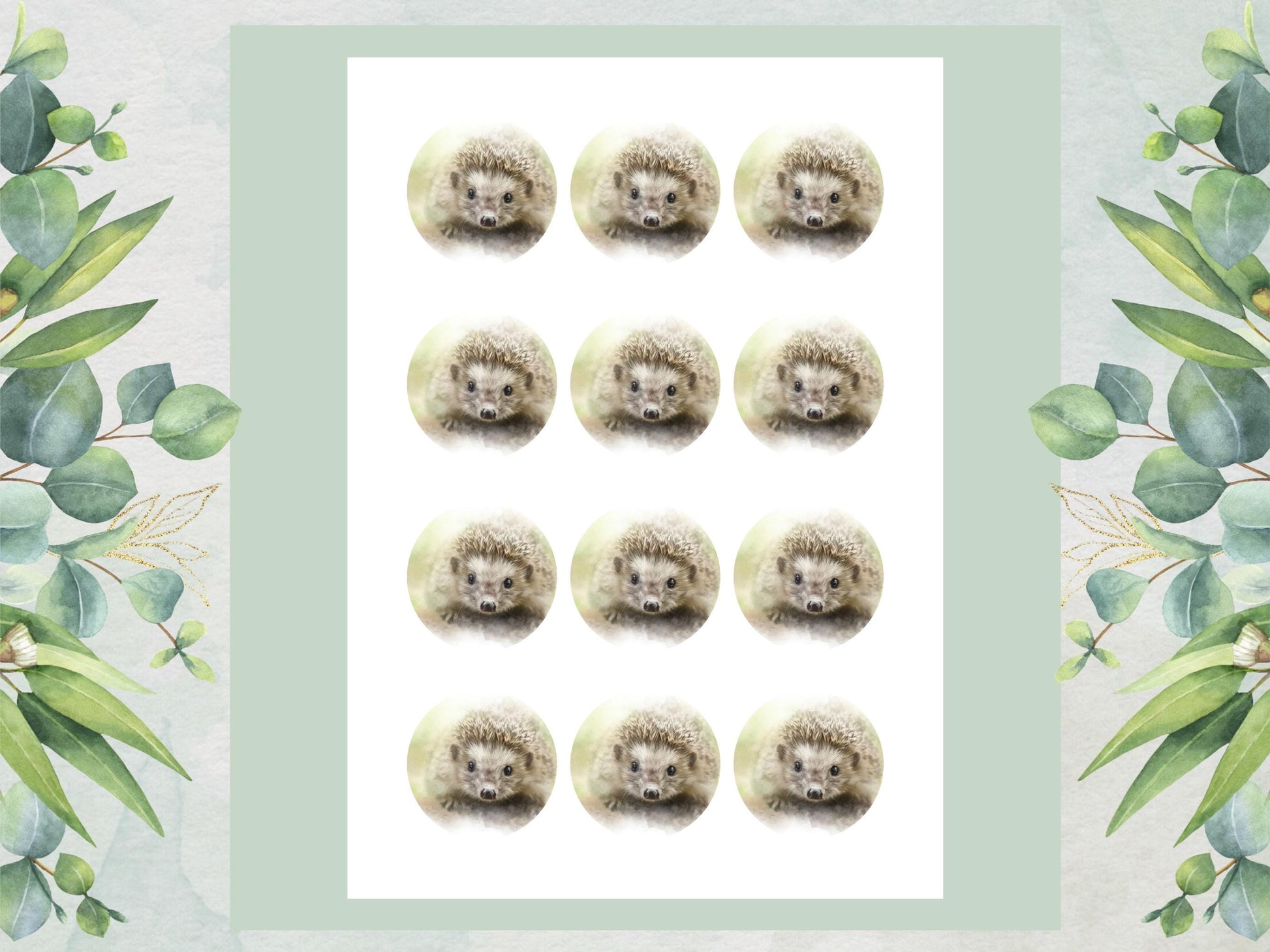 Hedgehog Edible Cupcake Toppers 12 x 2" Forest Animal Cake Decoration