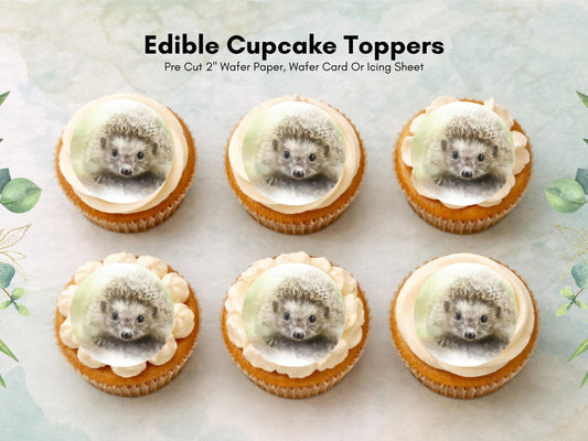 Hedgehog Edible Cupcake Toppers 12 x 2" Forest Animal Cake Decoration