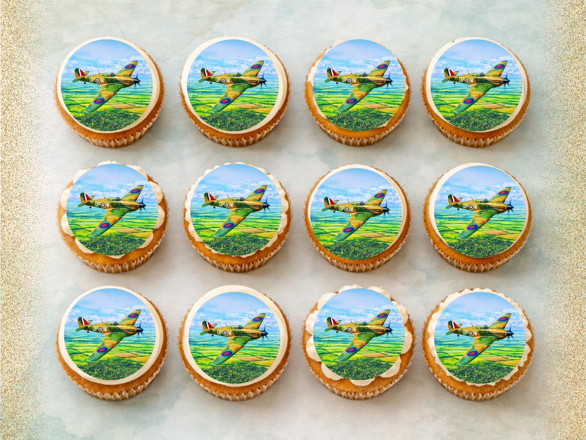 Hurricane Airplane Edible Cupcake Toppers – Airshow Cake Decorations