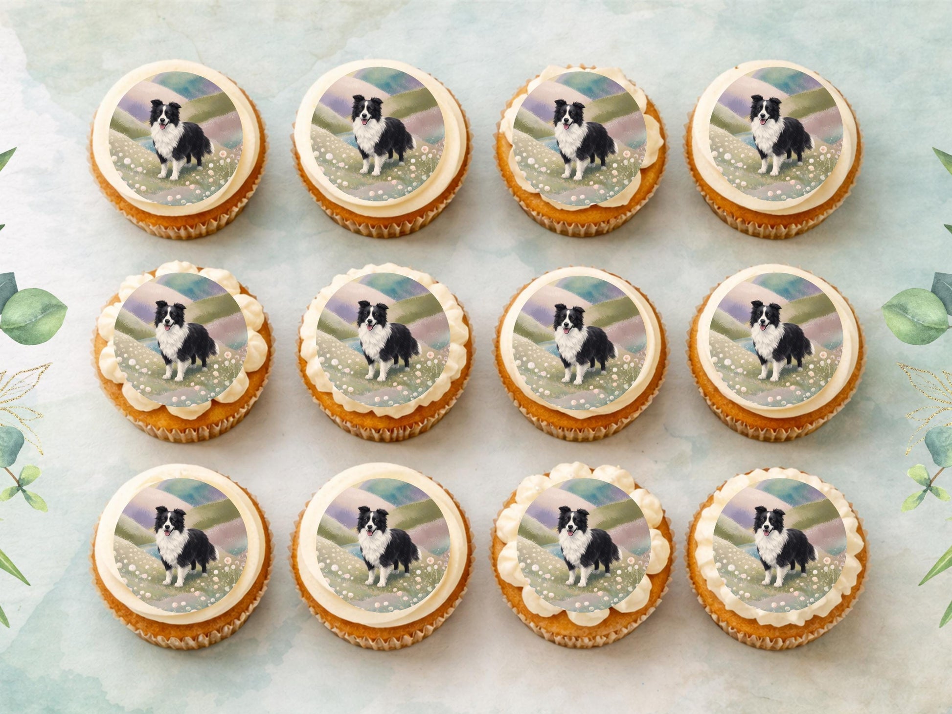 Border Collie Edible Cupcake Toppers 12 x 2" Dog Cake Toppers