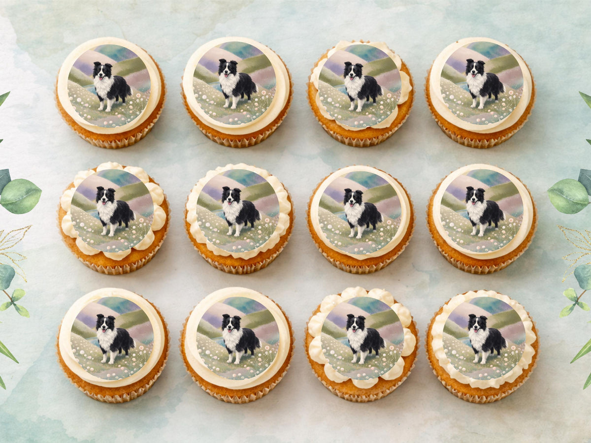 Border Collie Edible Cupcake Toppers 12 x 2" Dog Cake Toppers