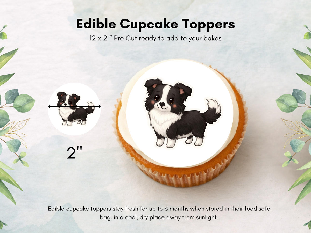 Border Collie Edible Cupcake Toppers 12 x 2" Dog Cake Toppers