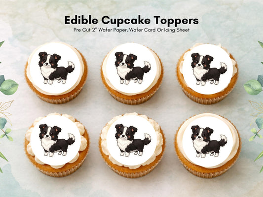 Border Collie Edible Cupcake Toppers 12 x 2" Dog Cake Toppers